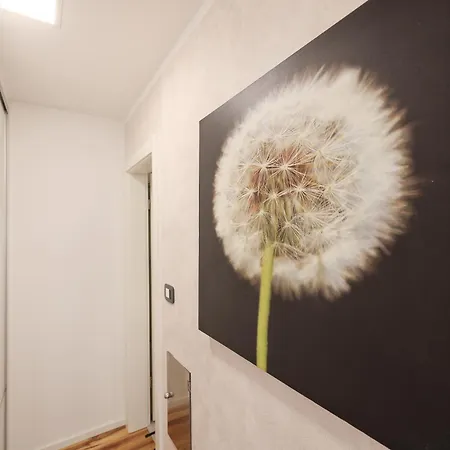 Apartamento Anita